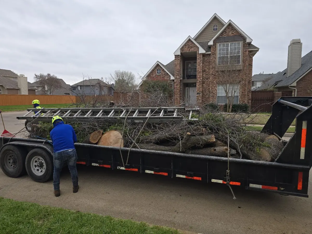Expert Tree Fertilization with proper safety equipment in Millerton